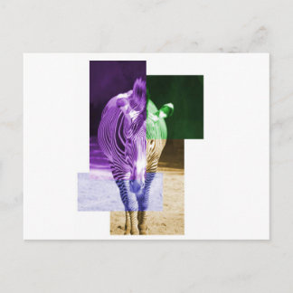 Cartão Postal Rainbow Zebra