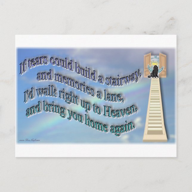 Cartão Postal RainbowBridge (Frente)