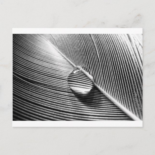 Cartão Postal Raindrop em Folha (Frente)