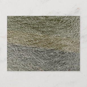 Cartão Postal Raindrop Ripula Natureza Fotografia de Água