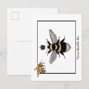 Cartão Postal Rainha Abelha Bumble
