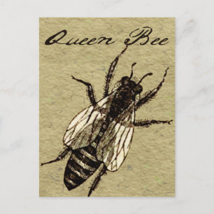 Cartão Postal Rainha Bee Wildlife Flying Inseto Inseto