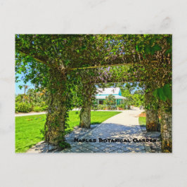 Cartão Postal Rainha da Terra Nápoles Jardim Botânico, Flórida