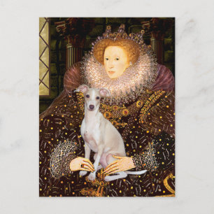 Cartão Postal Rainha - Greyhound italiano 7