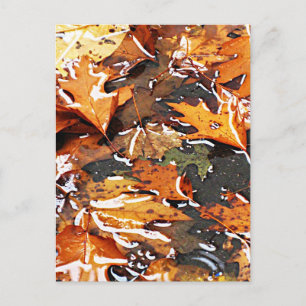 Cartão Postal Rainy Fall Folaves
