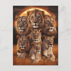 Cartão Postal Raio da Noite: Leões em Lua