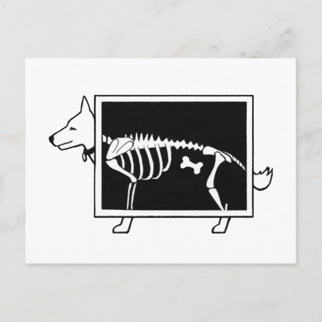 Cartão Postal Raio-X do cão (Frente)