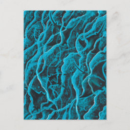 Cartão Postal Raios Oceanos Animais de Peixes Salva Arte Negra A