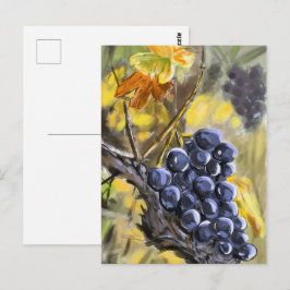 Cartão Postal Raisins sur la souche de vigne, provence.