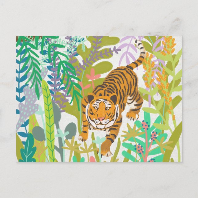 Cartão Postal Raiz da Selva - Tigre (Frente)
