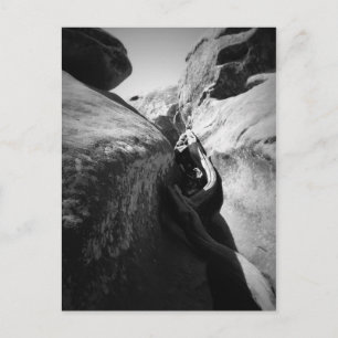 Cartão Postal Raiz de Árvore em Crevice