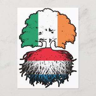 Cartão Postal Raízes de Árvore da Irlanda Irlandesa, Luxemburgo 