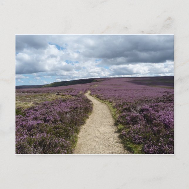 Cartão Postal Rajado (Frente)