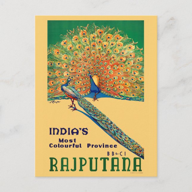 Cartão Postal Rajputana India Viagens vintage (Frente)