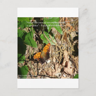 Cartão Postal Ralph W Emerson "Pace Of Nature" Wisdom Cote Gift