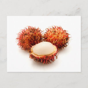 Cartão Postal Rambutan