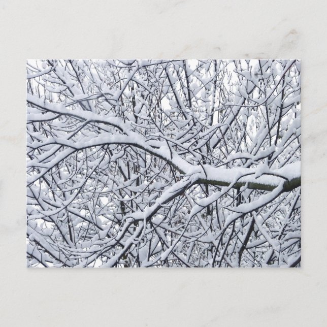 Cartão Postal Ramificações de Neve (Frente)