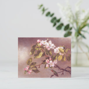 Cartão Postal Ramo de Flor de Cerejeira