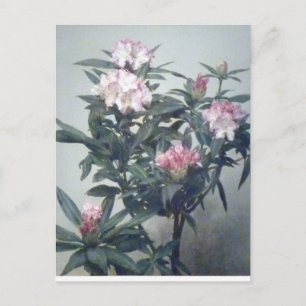 Cartão Postal Ramo de Rododendro Florido Vintage Henri Latour