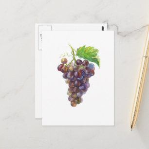 Cartão Postal Ramo de Uva Roxa Aquarela Botânica