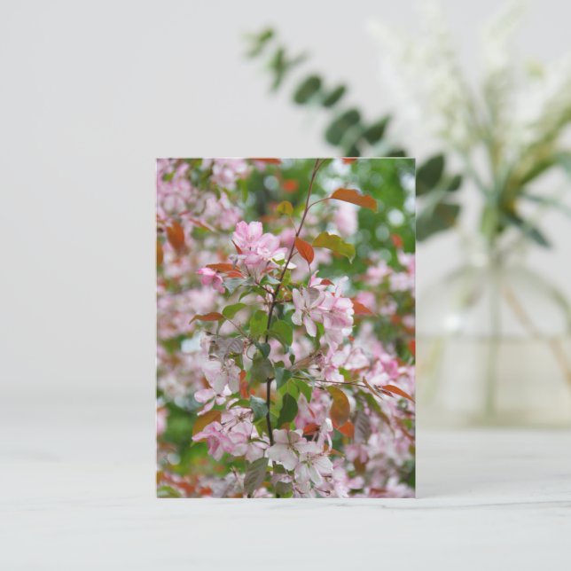 Cartão Postal Ramo delicado com flores de macieira (Em pé/Frente)