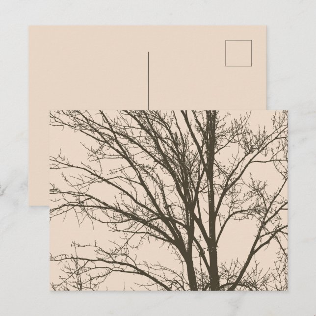 Cartão Postal Ramos de Árvores Castanho-Russo (Frente/Verso)