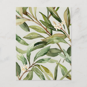 Cartão Postal Ramos de Oliveira em Aquarela Botânica