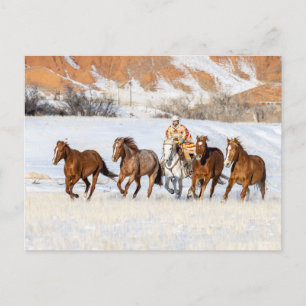 Cartão Postal Ranch Hideout Horse, Wrangler e Cavalos