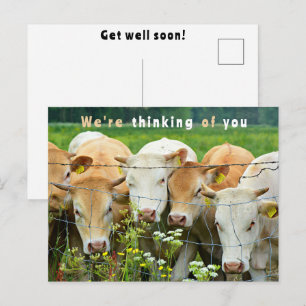 Cartão Postal Rancho de Recuperação Flor de Fazenda de Gado País