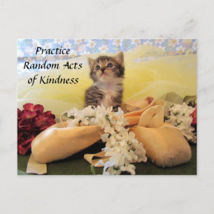 Cartão Postal Random Act of Kindess Postcard - Ballerina Cat