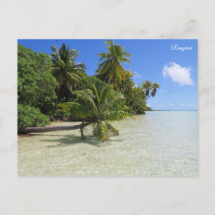 Cartão Postal Rangiroa Palm Trees