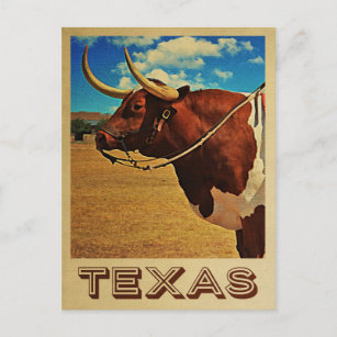 Cartão Postal Ranhura de Bovinos de Viagens vintage Bull do Texa