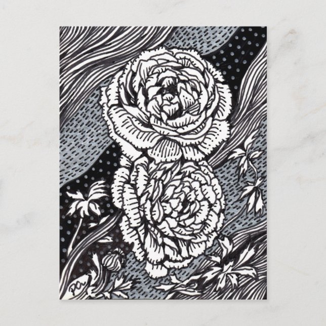 Cartão Postal Ranunculus (Frente)