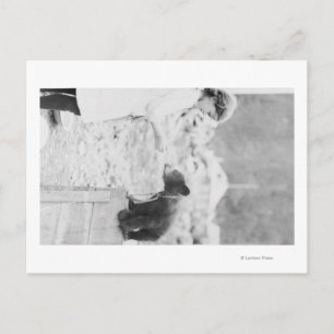 Cartão Postal Rapariga brincando com Urso-Urso em Sento 2