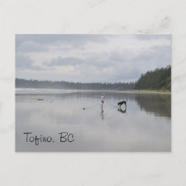 Cartão Postal Rapariga e Cachorro na Praia