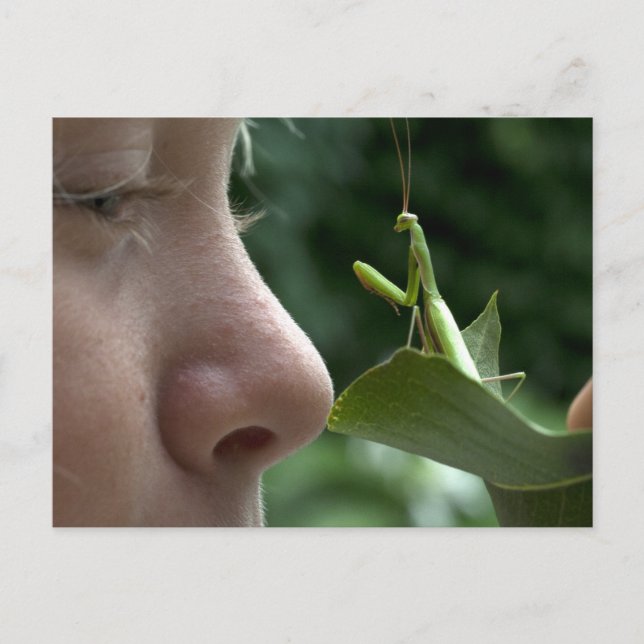 Cartão Postal Rapariga e Mantis religiosa (Frente)
