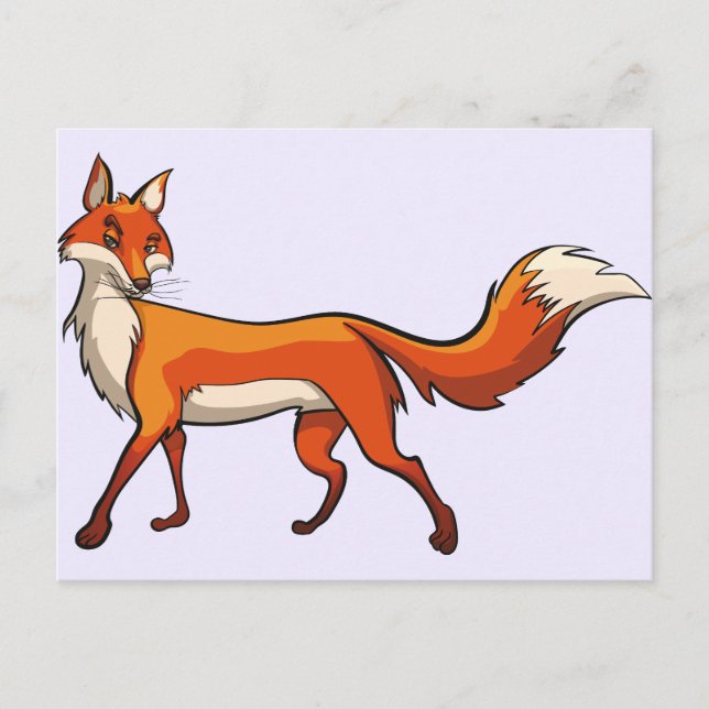 Cartão Postal Raposa-branca (Frente)