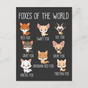 Cartão Postal Raposas do mundo dotadas para o trevo da raposa