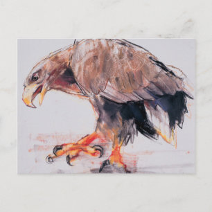 Cartão Postal Raptor 2001