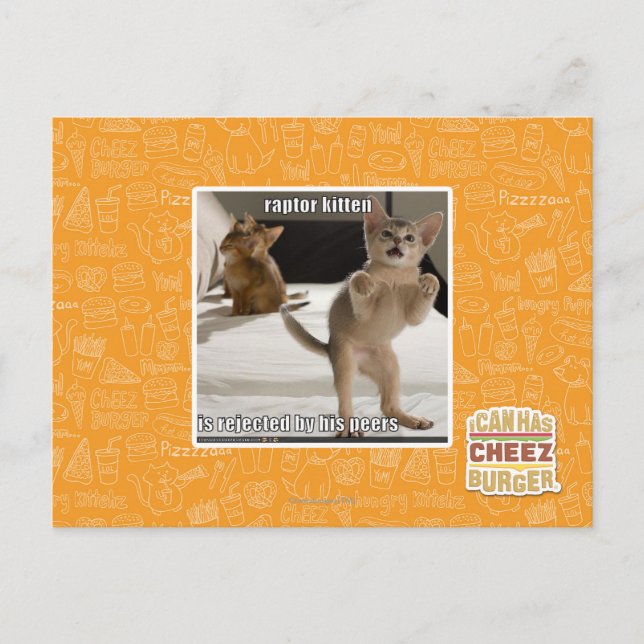 Cartão Postal Raptor Kitten (Frente)