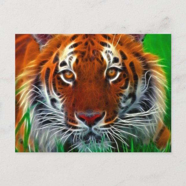 Cartão Postal Rare Sumatran Tiger da Indonésia (Frente)