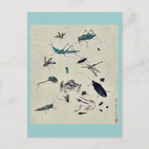 Cartão Postal Rãs, caracóis e insetos