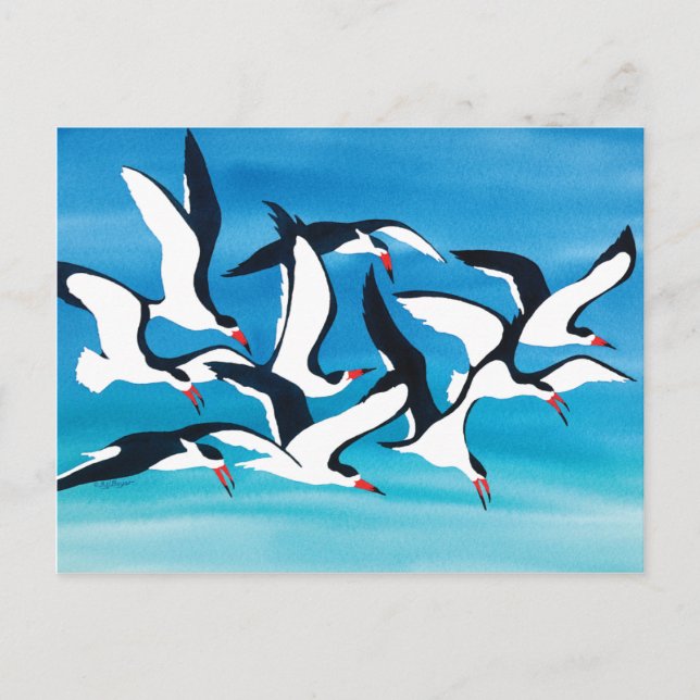 Cartão Postal Raspando a Superfície (Frente)