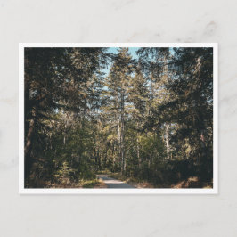 Cartão Postal Rastreio