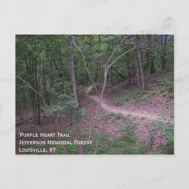 Cartão Postal 'Rastreio do Coração Roxo' (Frente)