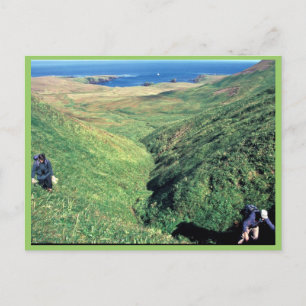 Cartão Postal Rat Island, o biólogo norte-americano Jeff William