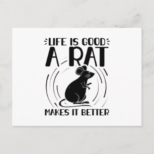Cartão Postal Rat Pet Presentes De Animais De Ratos Rodantes
