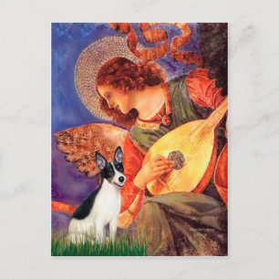 Cartão Postal Rat Terrier - Anjo Mandolin