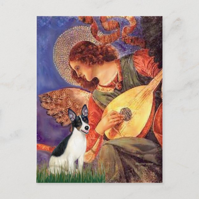 Cartão Postal Rat Terrier - Anjo Mandolin (Frente)