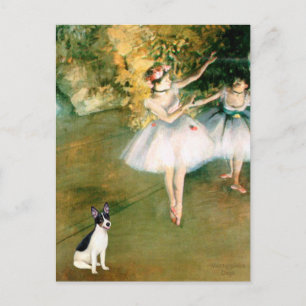 Cartão Postal Rat Terrier - Dois Dançarinos